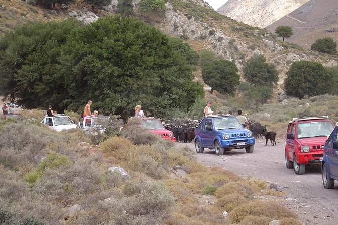 Private jeep safari convoy driving through the Cretan landscape